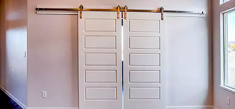 Glass Barn Door with Installation Hardware Kit Radcliff