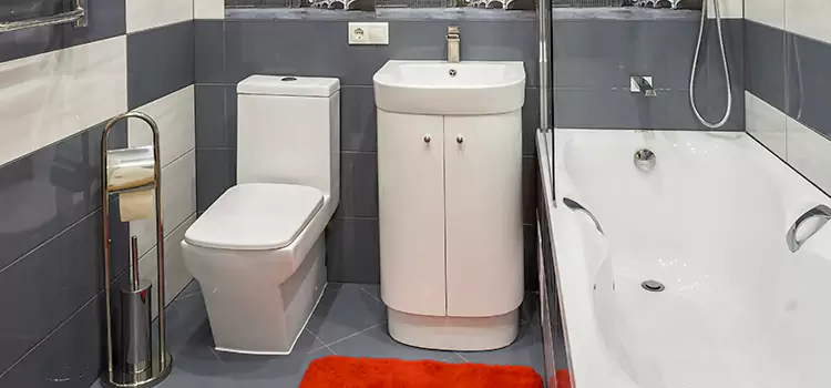 Hansgrohe Shaving Mirror Radcliff